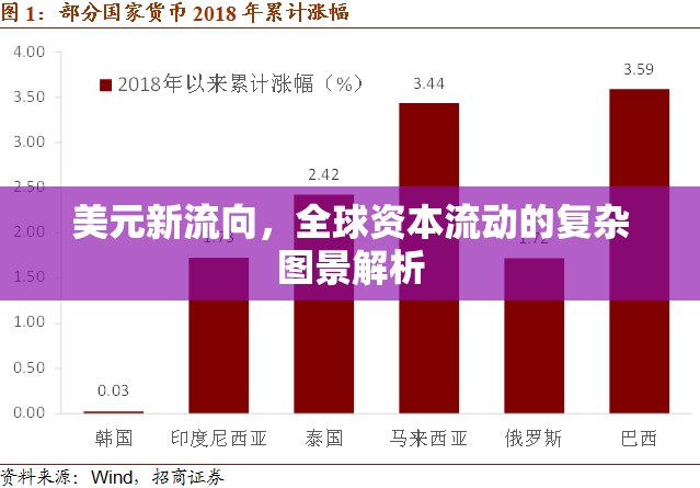 美元新流向，全球資本流動的復(fù)雜圖景解析
