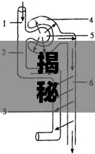 揭秘腎臟奧秘，腎小管流出的液體究竟是什么？