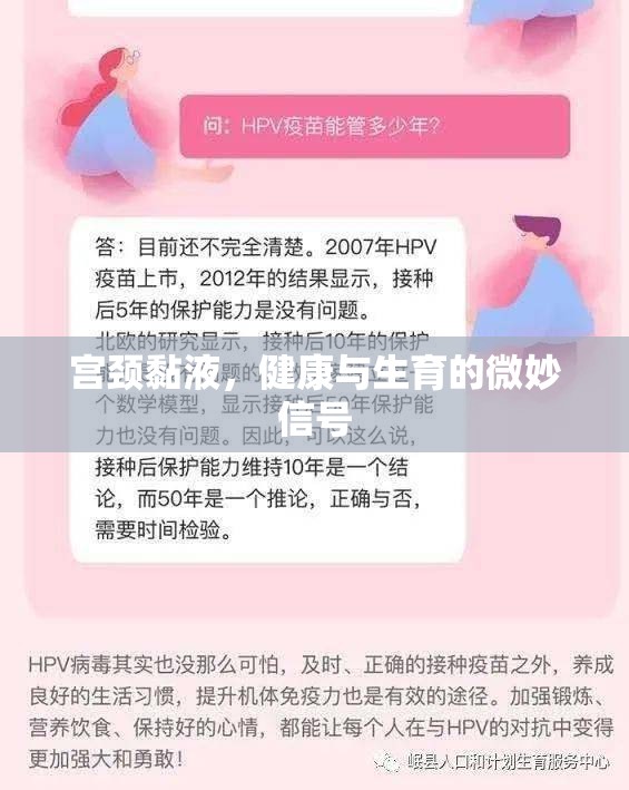 宮頸黏液，健康與生育的微妙信號(hào)