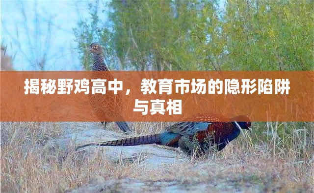 揭秘野雞高中，教育市場(chǎng)的隱形陷阱與真相