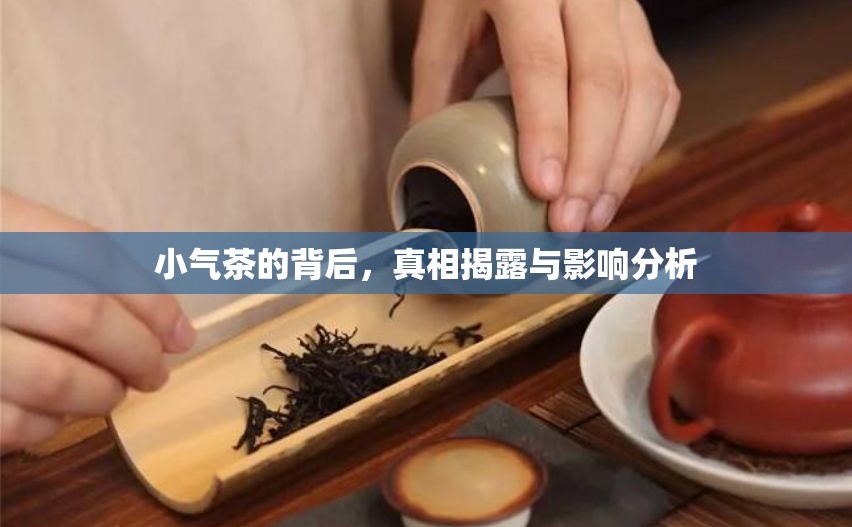 小氣茶的背后，真相揭露與影響分析