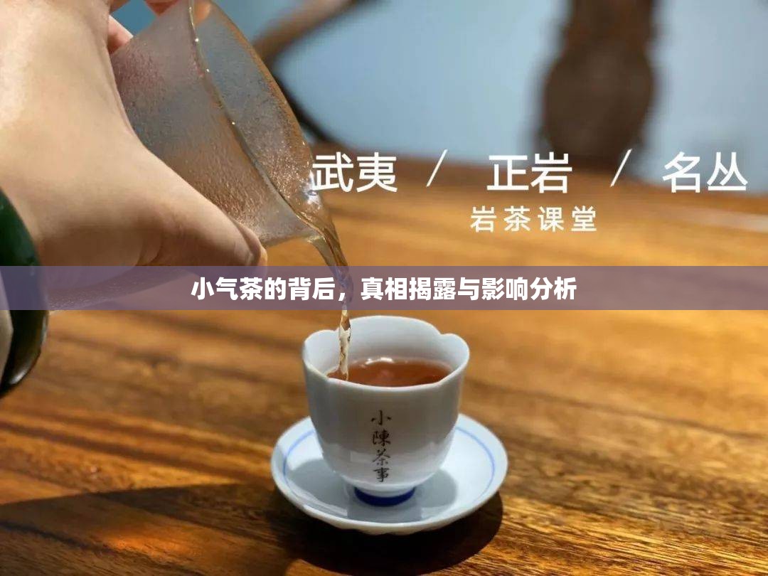 小氣茶的背后，真相揭露與影響分析