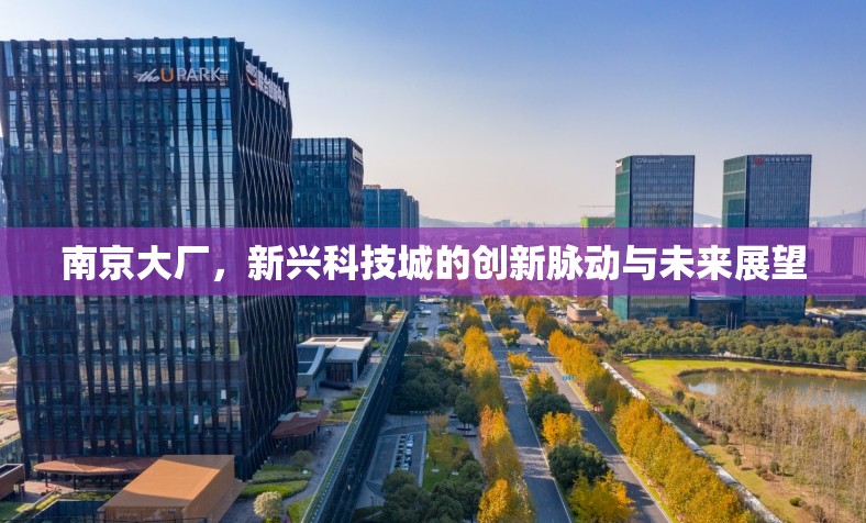 南京大廠，新興科技城的創(chuàng)新脈動(dòng)與未來(lái)展望