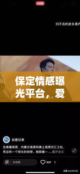 保定情感曝光平臺(tái)，愛與痛的交織樂章