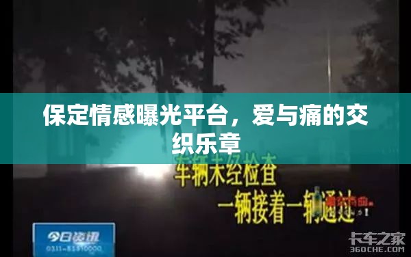 保定情感曝光平臺(tái)，愛與痛的交織樂章