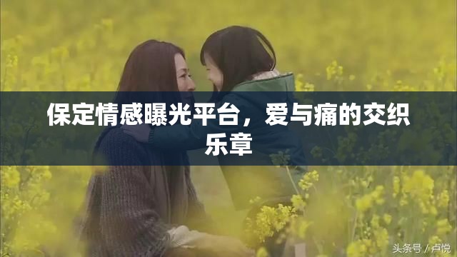 保定情感曝光平臺(tái)，愛與痛的交織樂章