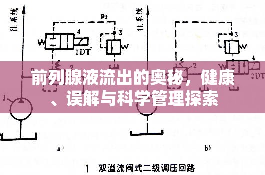 前列腺液流出的奧秘，健康、誤解與科學管理探索