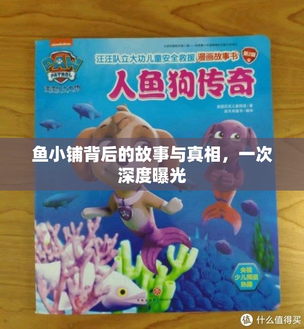 魚(yú)小鋪背后的故事與真相，一次深度曝光