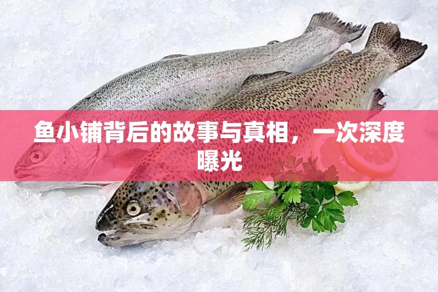 魚(yú)小鋪背后的故事與真相，一次深度曝光