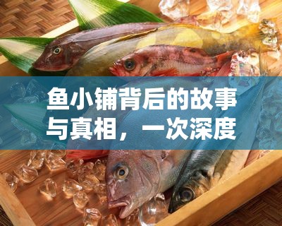 魚(yú)小鋪背后的故事與真相，一次深度曝光
