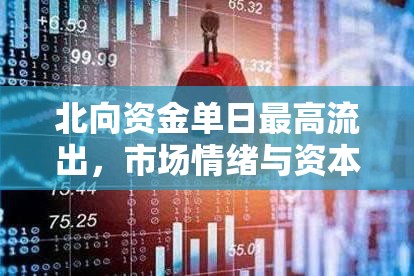 北向資金單日最高流出，市場(chǎng)情緒與資本流動(dòng)的深度剖析