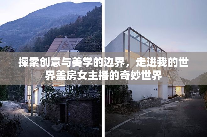 探索創(chuàng)意與美學(xué)的邊界，走進(jìn)我的世界蓋房女主播的奇妙世界