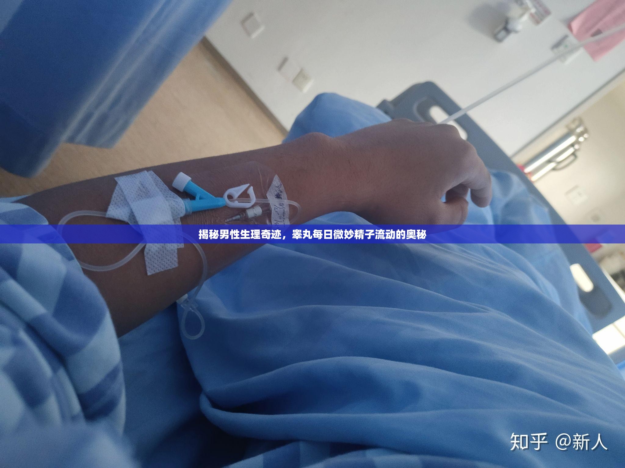 揭秘男性生理奇跡，睪丸每日微妙精子流動的奧秘