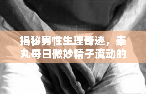 揭秘男性生理奇跡，睪丸每日微妙精子流動的奧秘