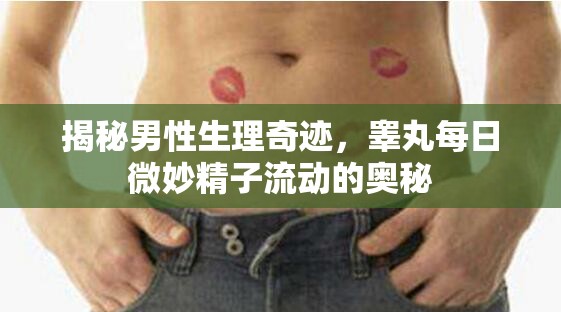 揭秘男性生理奇跡，睪丸每日微妙精子流動的奧秘