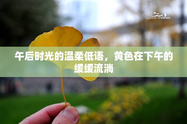 午后時光的溫柔低語，黃色在下午的緩緩流淌