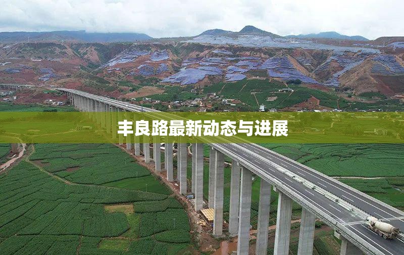 豐良路最新動態(tài)與進展