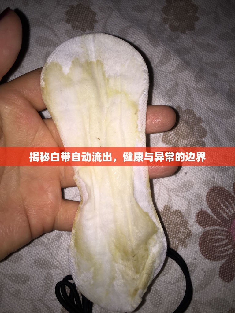 揭秘白帶自動(dòng)流出，健康與異常的邊界