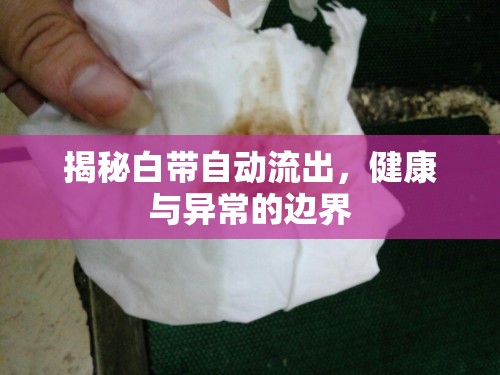 揭秘白帶自動(dòng)流出，健康與異常的邊界