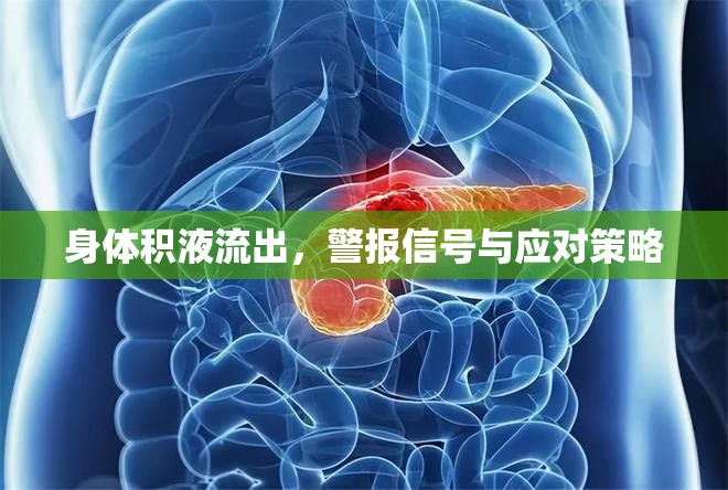 身體積液流出，警報信號與應對策略
