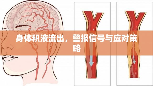 身體積液流出，警報信號與應對策略