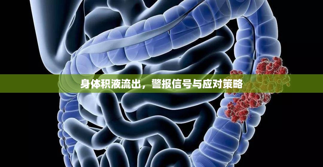 身體積液流出，警報信號與應對策略