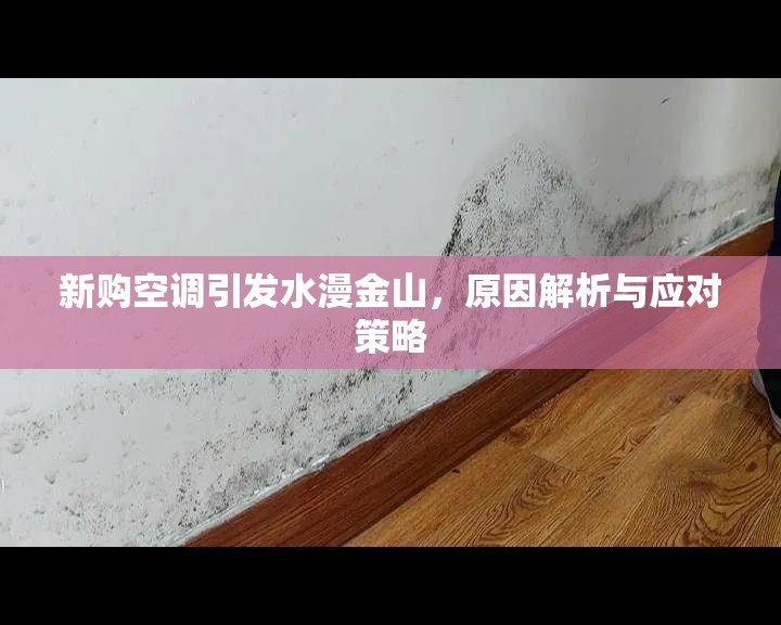 新購空調(diào)引發(fā)水漫金山，原因解析與應對策略