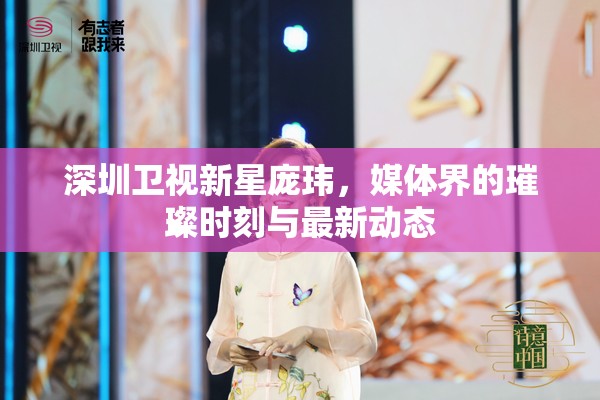 深圳衛(wèi)視新星龐瑋，媒體界的璀璨時刻與最新動態(tài)