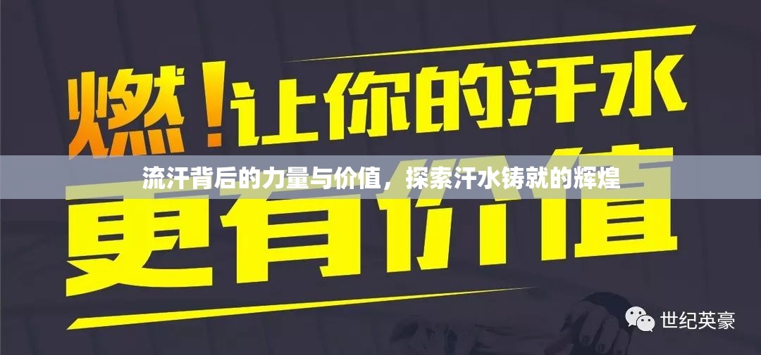 流汗背后的力量與價(jià)值，探索汗水鑄就的輝煌