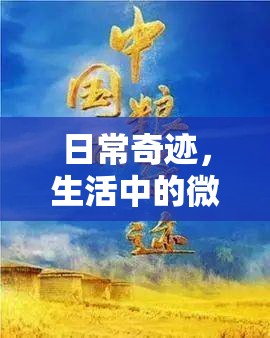 日常奇跡，生活中的微小水流與詩意瞬間
