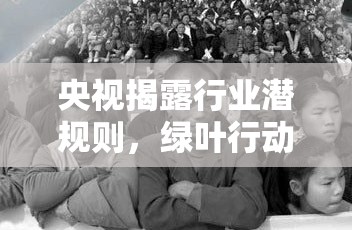 央視揭露行業(yè)潛規(guī)則，綠葉行動守護(hù)消費者權(quán)益