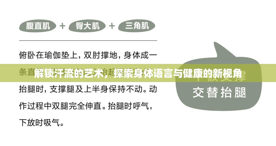 解鎖汗流的藝術(shù)，探索身體語言與健康的新視角
