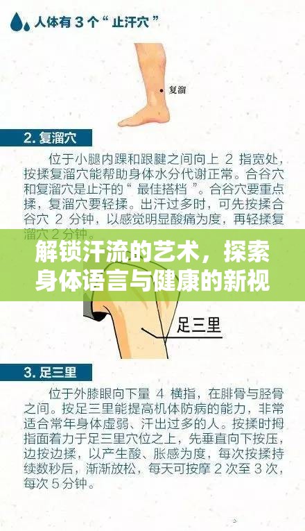 解鎖汗流的藝術(shù)，探索身體語言與健康的新視角