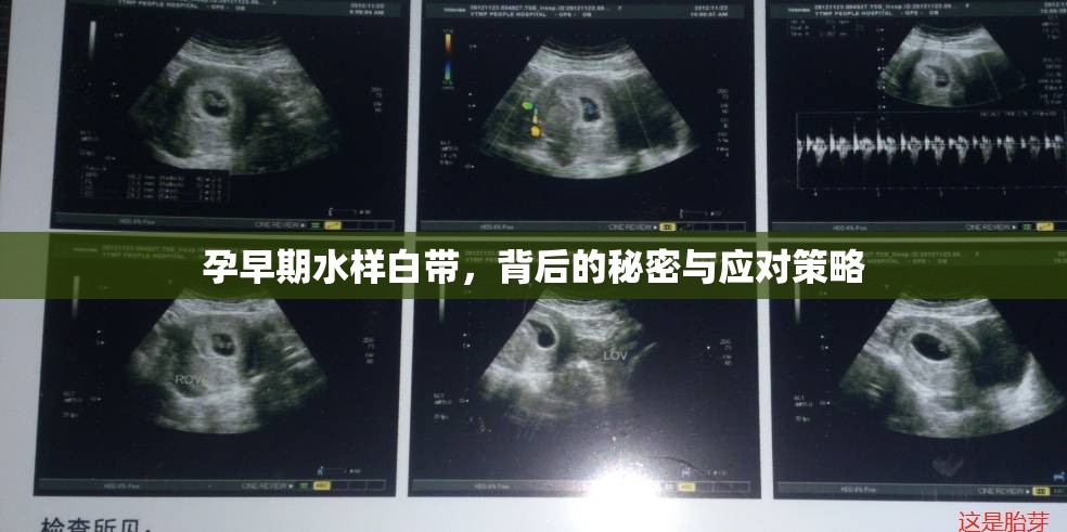 孕早期水樣白帶，背后的秘密與應(yīng)對(duì)策略