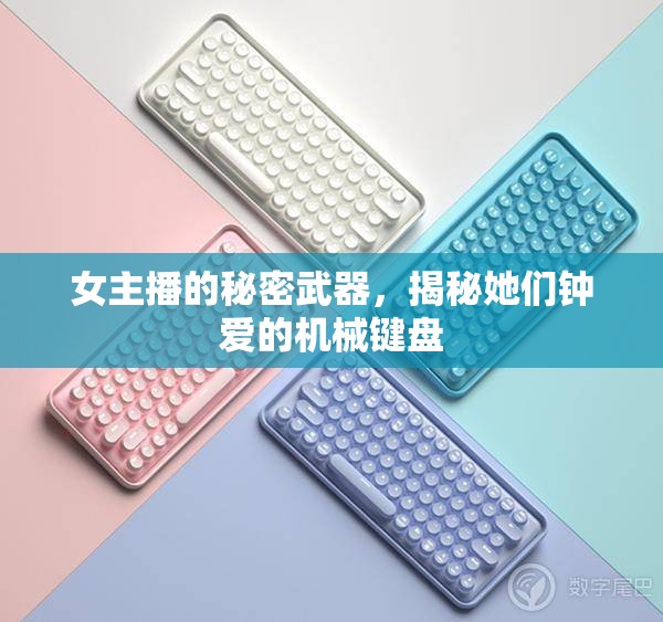 女主播的秘密武器，揭秘她們鐘愛的機(jī)械鍵盤