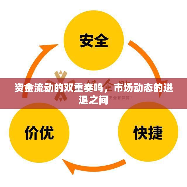 資金流動的雙重奏鳴，市場動態(tài)的進退之間