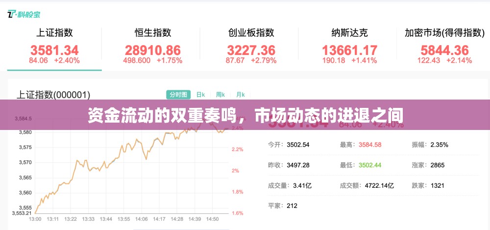 資金流動的雙重奏鳴，市場動態(tài)的進退之間