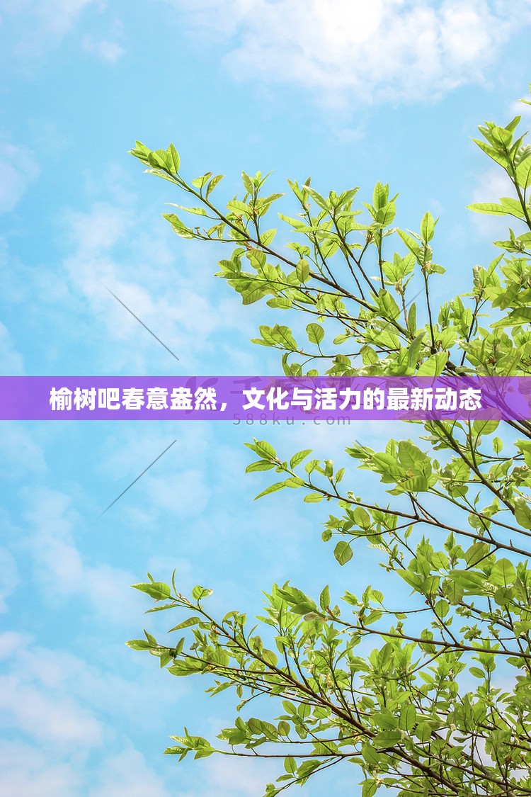 榆樹吧春意盎然，文化與活力的最新動態(tài)