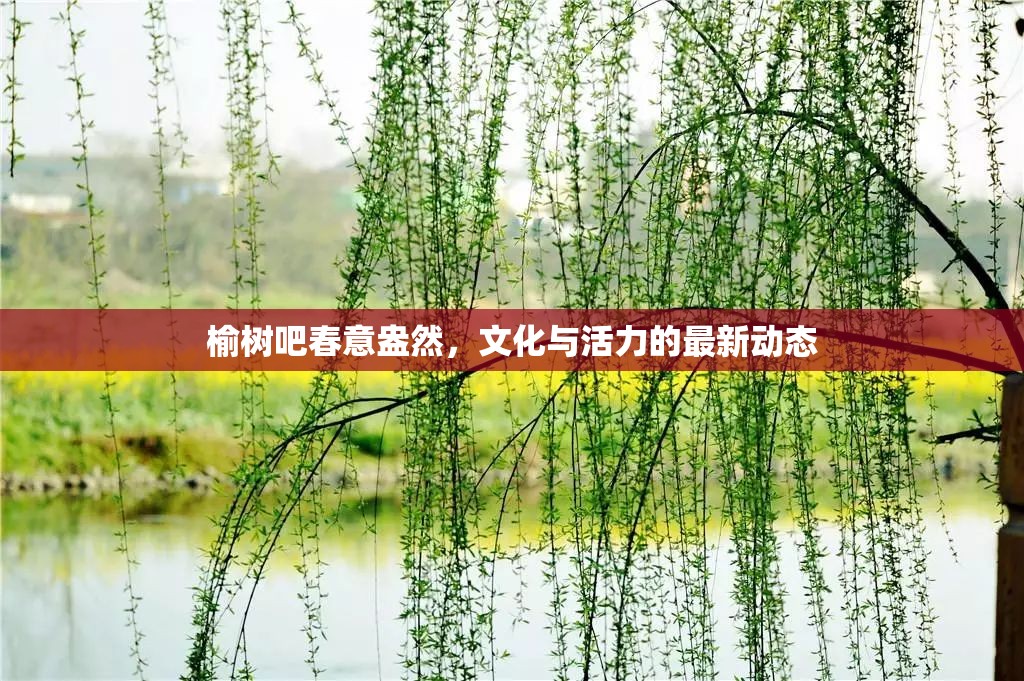 榆樹吧春意盎然，文化與活力的最新動態(tài)