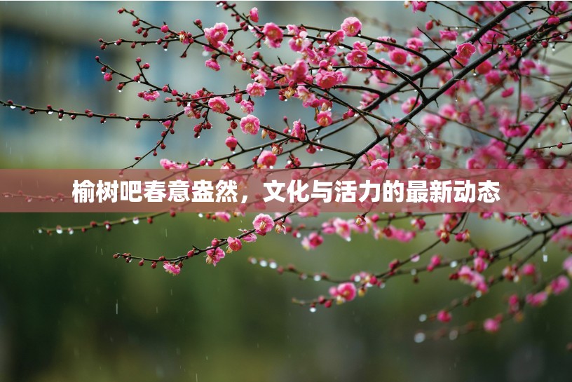 榆樹吧春意盎然，文化與活力的最新動態(tài)