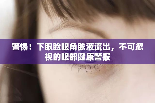 警惕！下眼瞼眼角膿液流出，不可忽視的眼部健康警報(bào)