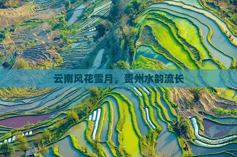 云南風(fēng)花雪月，貴州水韻流長
