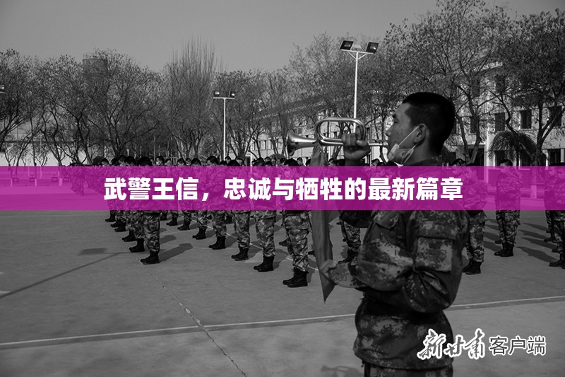 武警王信，忠誠與犧牲的最新篇章