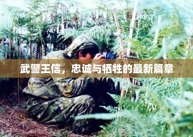 武警王信，忠誠與犧牲的最新篇章
