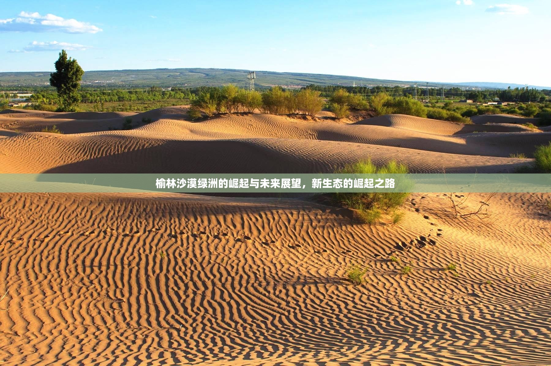 榆林沙漠綠洲的崛起與未來展望，新生態(tài)的崛起之路