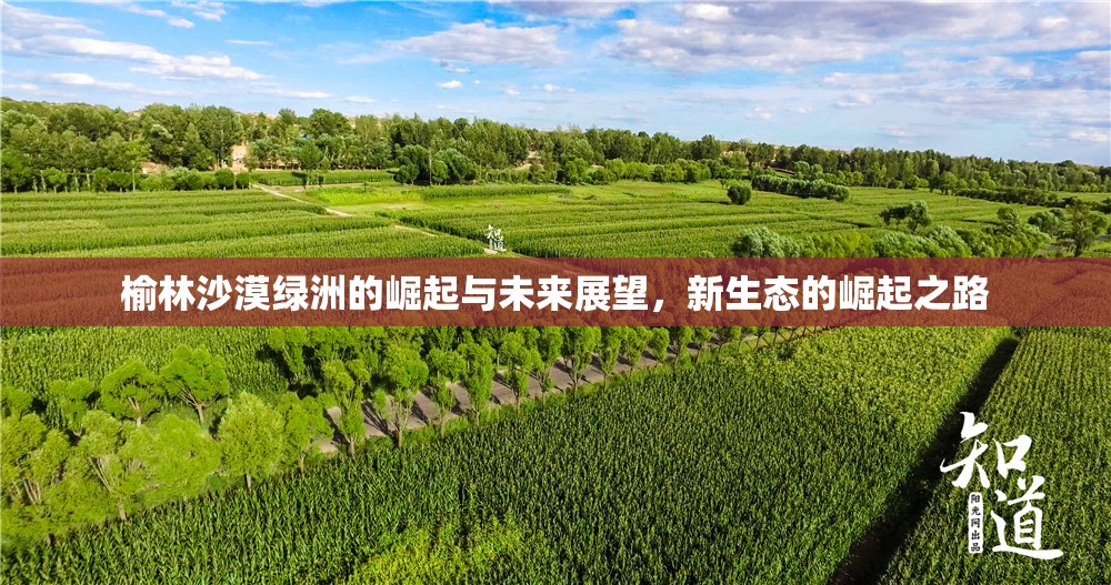 榆林沙漠綠洲的崛起與未來展望，新生態(tài)的崛起之路