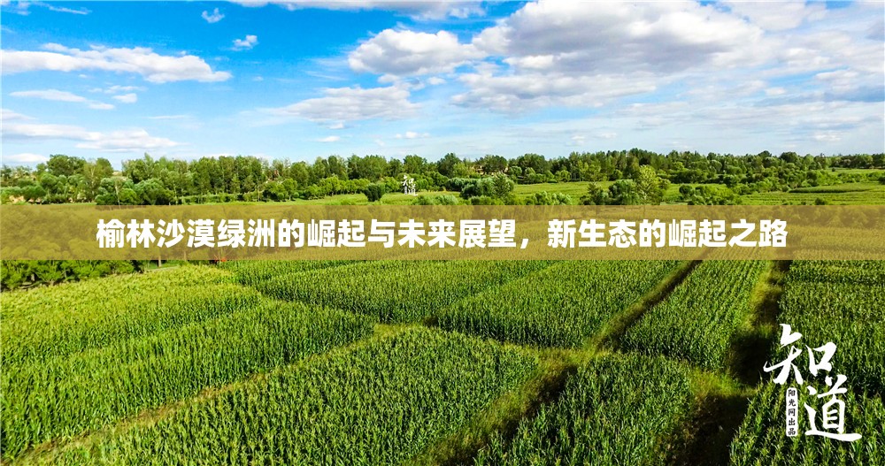 榆林沙漠綠洲的崛起與未來展望，新生態(tài)的崛起之路