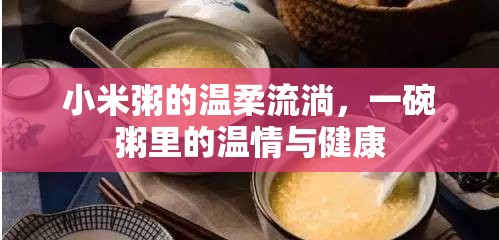 小米粥的溫柔流淌，一碗粥里的溫情與健康
