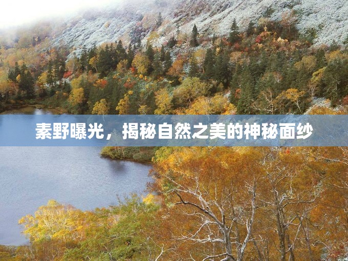 素野曝光，揭秘自然之美的神秘面紗