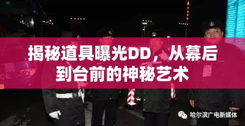 揭秘道具曝光DD，從幕后到臺(tái)前的神秘藝術(shù)